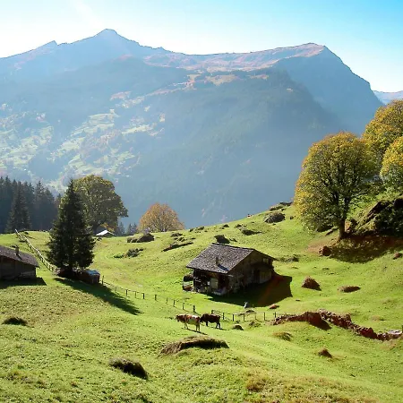 Apartment Chalet Abendrot Apartments-21 By Interhome * Grindelwald